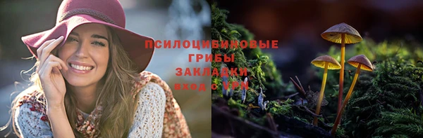 каннабис Надым