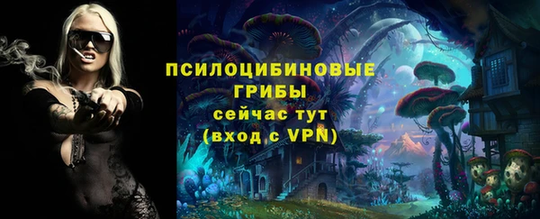 ГАЛЛЮЦИНОГЕННЫЕ ГРИБЫ Наволоки