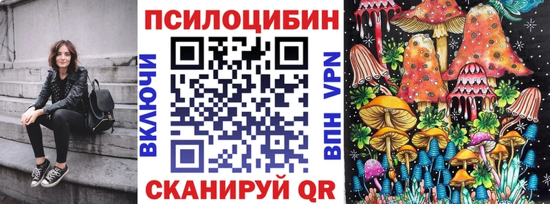 Псилоцибиновые грибы Psilocybine cubensis  магазин продажи наркотиков  Цивильск 